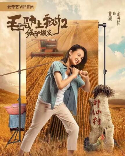 红白网站是什么意思